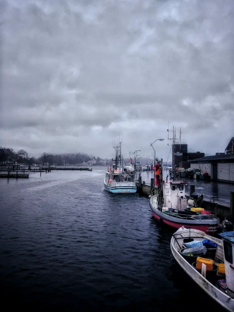 SCHLEI FJORD - SLOWLY INTO 2018 1 SCHLEI FJORD - SLOWLY INTO 2018 1