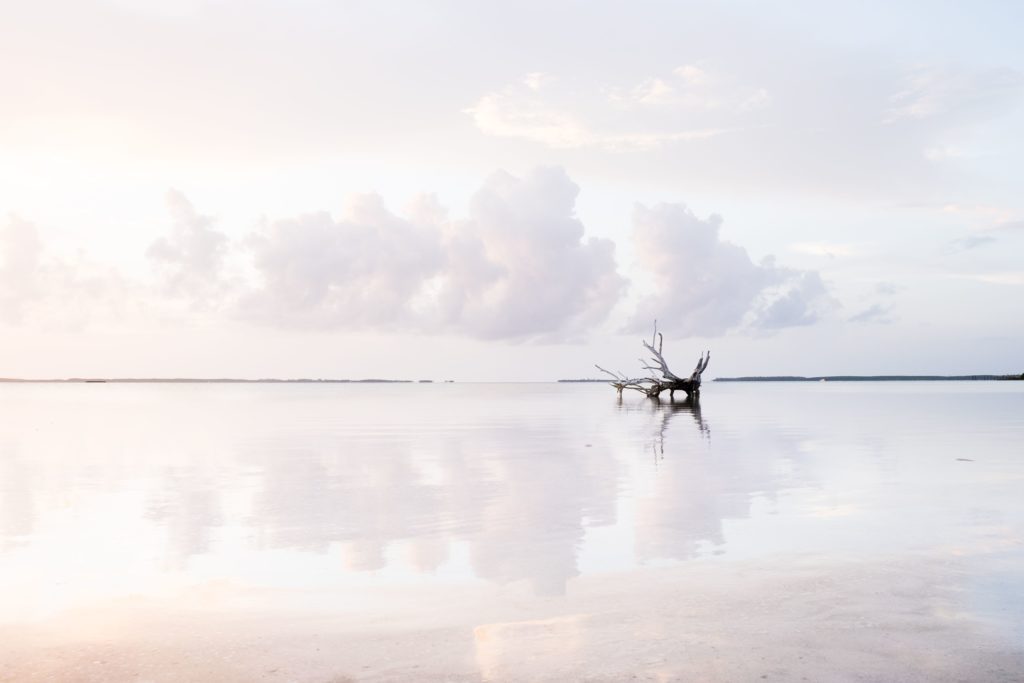 PHOTOGRAPHY TIPS: 7 PHOTOGRAPHERS SHARE THEIR TIPS TO INSTANTLY TAKE BETTER PHOTOS 2 Photography Tips - Reflection of sky in water
