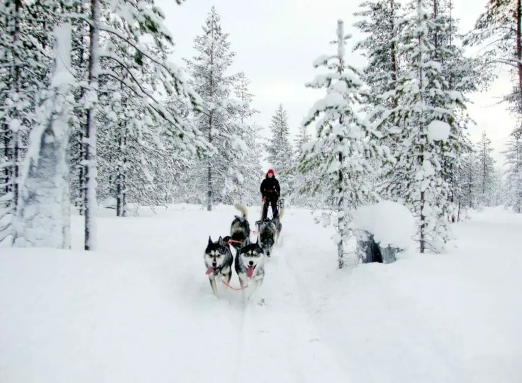DIE 11 SCHÖNSTEN URLAUBSORTE IN EUROPA - NORDEUROPA 2 Schlittenhund - Schneemobil
