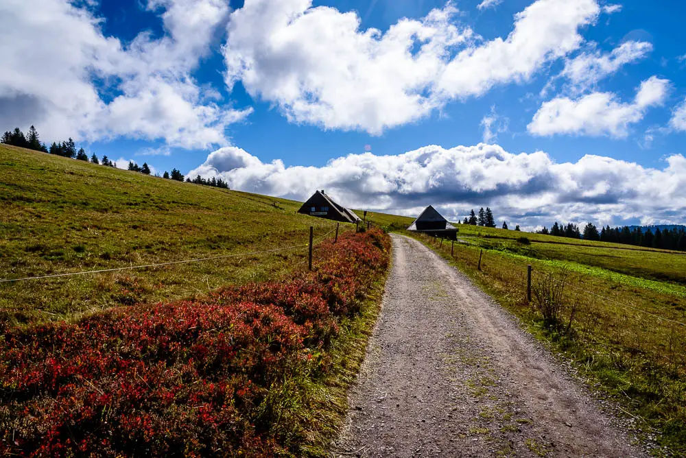 AUSFLUGSZIELE BADEN WÜRTTEMBERG - ENTDECKE 11 TRAUMHAFTE ORTE 3 Mount Scenery - Wiese