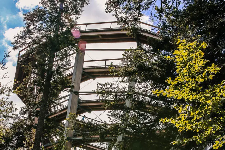 AUSFLUGSZIELE BADEN WÜRTTEMBERG - ENTDECKE 11 TRAUMHAFTE ORTE 4 Baumwipfelpfad